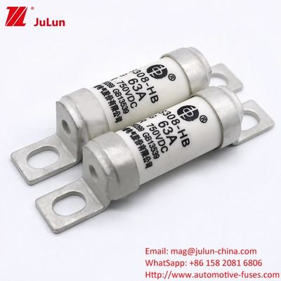 Adaptatore EV per caricabatterie RS308-HB4G Serie 32A 63A 100A Mini fusibili per auto