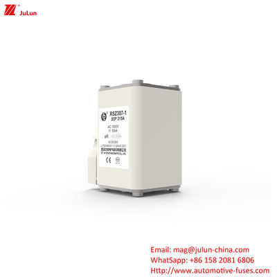 Protezione del sistema di alimentazione elettrica 160A-550A Adaptore del caricabatterie EV AC Compatibile Bolt On Fuses