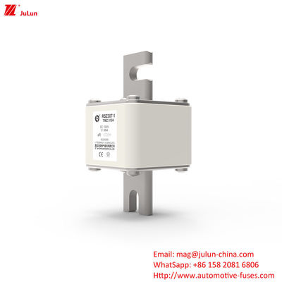 315A DC250V portatile EV caricabatterie fusibile soluzione definitiva per i proprietari di EV