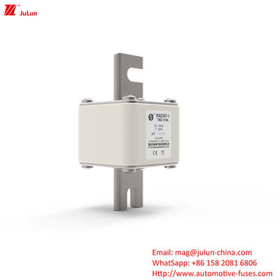 315A DC250V portatile EV caricabatterie fusibile soluzione definitiva per i proprietari di EV