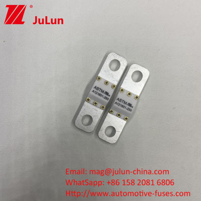 A121601-100A ASTM Veicoli elettrici Nuove apparecchiature energetiche Batteria Ene Fuse per auto