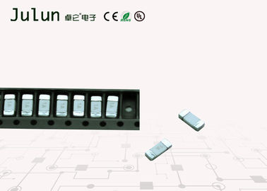 Il micro circuito elettronico ceramico fonde il chip automobilistico di serie del fusibile 245-2410 del colpo lento
