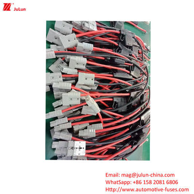EU UL Standard Automotive Plug In Circuit Breaker Fuse Holder Tensione nominale 32V Corrente 25A-80A Per veicolo elettrico