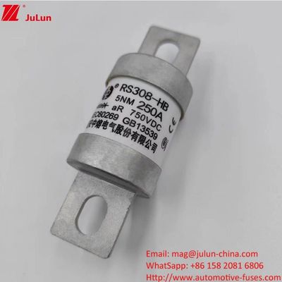 200A 250A 300A -400A Fusibili per veicoli elettrici Vattone M8 M6 Metodo di montaggio Terminale Tipo 750VDC Fusibili energetici