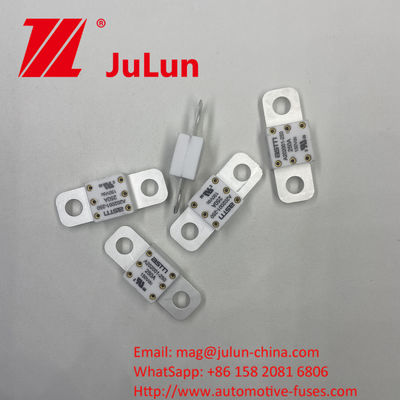 150VDC 200A A202001 Automobile Energy Storage Fusibili automotive in ceramica La combinazione perfetta di durata ed efficienza