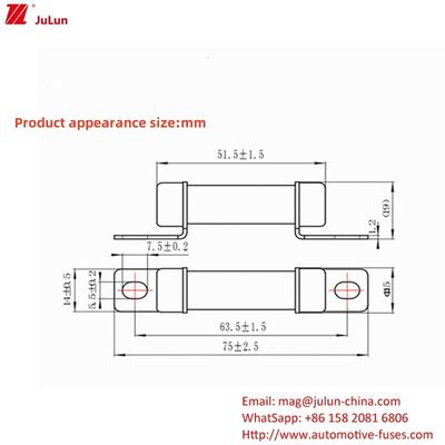 RS309 32A-35A -40A -50A Adaptore di carica corrente Ev Compatibile con 750VDC Voltaggio