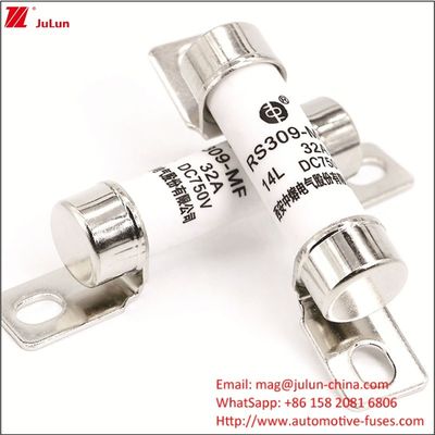 RS309 750VDC 32A 40A Corrente Caricabatterie per autoveicoli con fusibile per veicoli elettrici ad energia 750VDC Tipo terminale