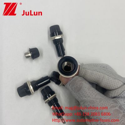 6*30mm 5*20mm Tenitore fusibile per autoveicoli 10A 250V