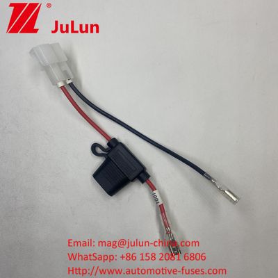 Connettore Veicolo Automotive Automotive OEM Assemblaggio del cavo Fuse Holder Energy Storage Wiring Harness