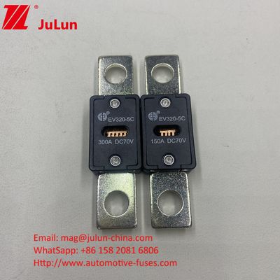 EV320-5X / 5C Batteria per autoveicoli 300A 70VDC Fuse di caricabatterie con Fuse CC per EV HEV Protezione inclusa