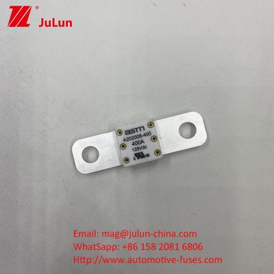 Fusibili per veicoli in ceramica a corrente elettrica 200A ASTM A202008 125VDC per prestazioni di lunga durata
