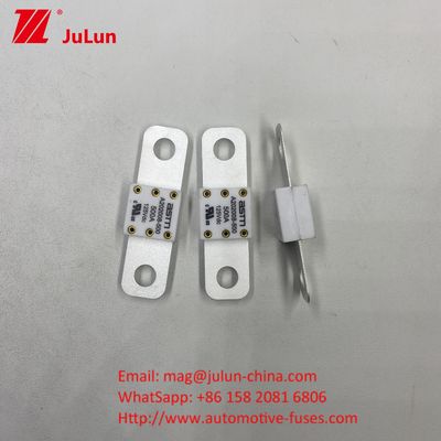 Fusibili per veicoli in ceramica a corrente elettrica 200A ASTM A202008 125VDC per prestazioni di lunga durata
