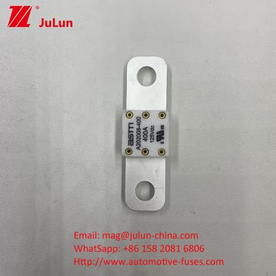 ASTM Fuse per veicoli elettrici A202008 300A Fuse 125VDC Terminal Type AC Ev Charger Adapter Compatibile con capacità di rottura di 20KA