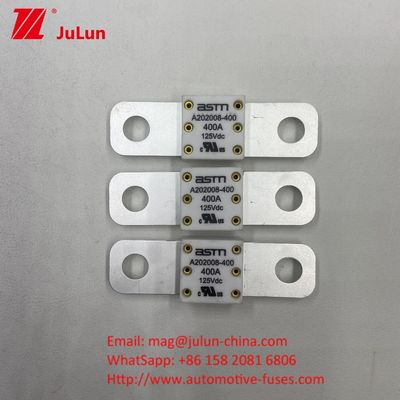 ANM AMM AEGA ANL CNN CNL Fuse della batteria per auto 350A 125VDC