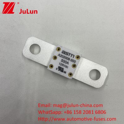 ASTM 250A 125V Ceramica Bianco Colore Fuse In Batteria Auto