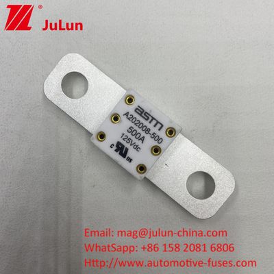 125VDC 200A ANM AMM AEGA ANL CNN CNL Fusibili per batterie per auto