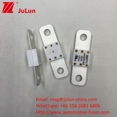 Professionale A202008 300A 125VDC caricabatterie per autoveicoli pesanti Fuse 100A 150A 200A 250A 300A 350A 400A 500A 20KA Capacità di rottura