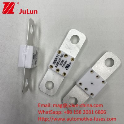Professionale A202008 300A 125VDC caricabatterie per autoveicoli pesanti Fuse 100A 150A 200A 250A 300A 350A 400A 500A 20KA Capacità di rottura