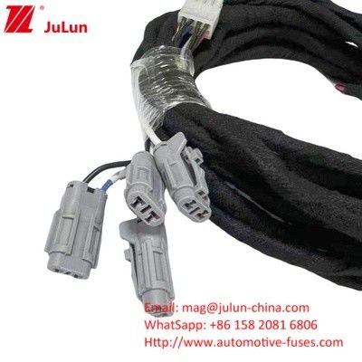 Cavo Jumper per auto XT30 XT60 XT90 Maschio Femminile Cable di connettore Amass Batteria al litio Power Wiring Harness Assemblaggio Cavo automobilistico lunghezze e colori personalizzati