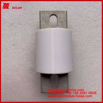 Azionamento di potenza Sistemi di alimentazione Fusibili automatici in ceramica RS309-MD 600A 500VAC 200KA 500VDC 50KA AR Veicoli elettrici tubolari 30-800A