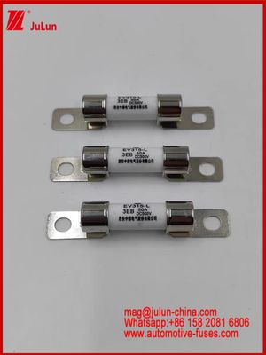 50A resistente alle alte temperature EV315-L 3EB fusibile DC500V caricabatterie in ceramica V EV per auto elettrica M6