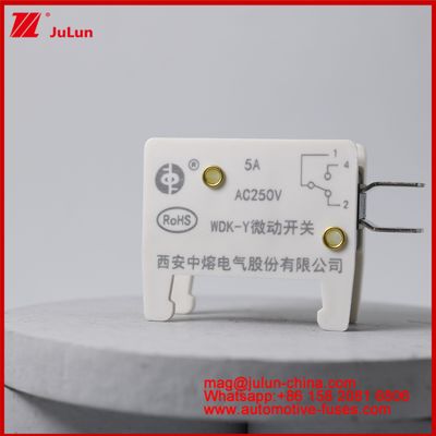 WDK-Y 5A 250V Micro Switch Automobile Mount Fuse Per Veicolo EV / HEV Base di fusibile appositamente progettata Per la situazione del veicolo