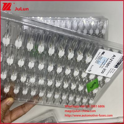 Batteria ASTM A121601-250A 125VDC EV Bolt FUSE