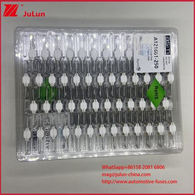 Batteria ASTM A121601-250A 125VDC EV Bolt FUSE