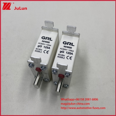 160A, 200A, 250A, 315A, 400A, NT000, NT00, NT0, NT1, NT2, NT3, NT4 Fusibile a coltello e base fusibile 500V AC 10A~100A, 125A, 500A 630A