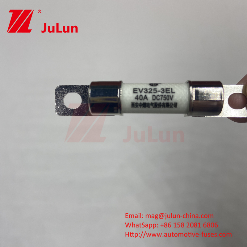 Caricabatterie / carica veloce per veicoli elettrici per DC750V Fuse di protezione carico chimico e alta temperatura