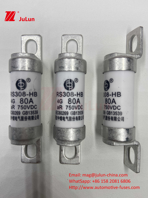 EV RS308 Fuse Shock Meccanico 25A 30A 40A 50A Ceramica rame tensione nominale DC750V Home EV caricabatterie per auto elettrica