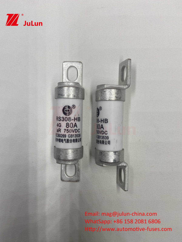 Fuse elettrico M6 con caricabatterie elettrica in ceramica a bullone 750VDC Fuse carica chimica e alta temperatura 40A 50A RS308