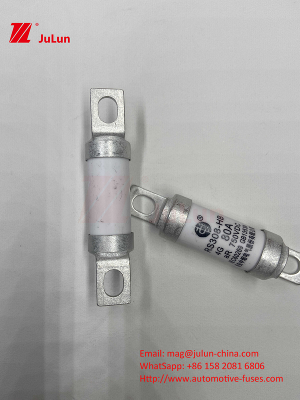 Fusibili per automobili in ceramica a 750VDC 14. Tubo in ceramica 20x46mm 15A 40A 50A RS308 HB G FUSE 750VDC EV325 100A