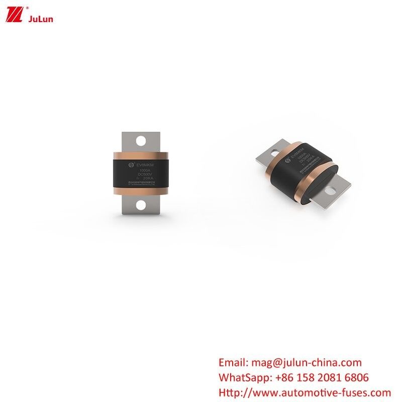 1000A Cerniera a bullone Veicolo elettrico carica rapida / Ev Dc Fuse di carica rapida per veicoli stradali