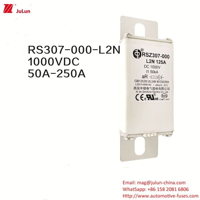 100A Bolt On Ev Dc caricabatterie veloci / carica rapida del veicolo elettrico RSZ307-000-L2N fusibile