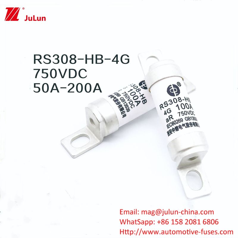 Adaptatore EV per caricabatterie RS308-HB4G Serie 32A 63A 100A Mini fusibili per auto