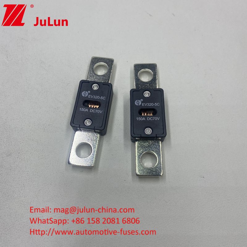 EV320-5X / 5C Batteria per autoveicoli 300A 70VDC Fuse di caricabatterie con Fuse CC per EV HEV Protezione inclusa