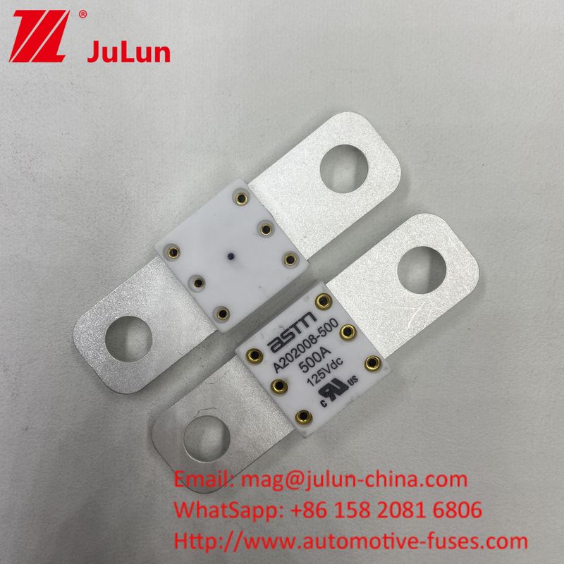 Professionale A202008 300A 125VDC caricabatterie per autoveicoli pesanti Fuse 100A 150A 200A 250A 300A 350A 400A 500A 20KA Capacità di rottura