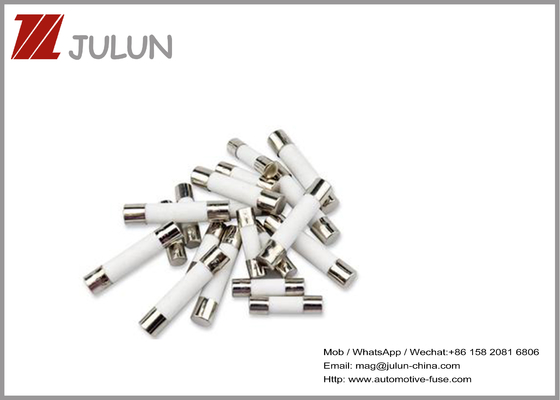 fusibile ceramico di comunicazione 15A 250V di 5X20Mm per i forni a microonde