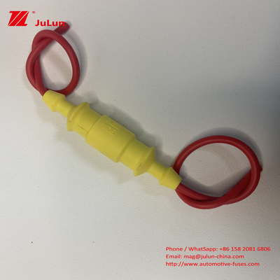 Il supporto della scatola dei fusibili del cablaggio del cavo giallo impermeabile 30A 250V 5*20mm 6*30mm Tubo ceramico di vetro