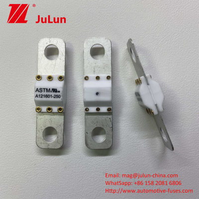 100A Strumenti portatili di caricabatterie per veicoli elettrici Protezione antincendio Fuse di protezione contro cortocircuito ad alta rottura