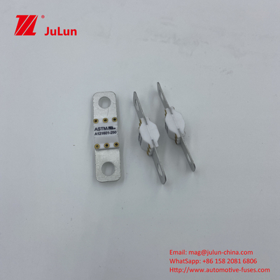 200A 125VDC 50A 60A 80A 100A Fusibili automobilistici Potenti e automobilistici Strumenti elettrici Macchine Nuova energia