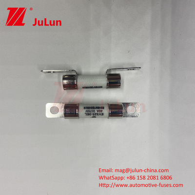 Fusibili per veicoli in ceramica 10A 15A 750VDC Fusibili per veicoli in ceramica 25A 30A 40A 50A Uses For EV Car Charger