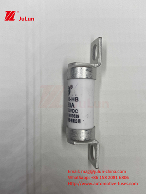 63A RS308 HB Fusibile a bullone 80A 10A 15A 40A Fusibili in ceramica per autoveicoli con bullone