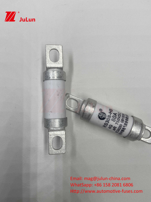Fusibili per automobili in ceramica a 750VDC 14. Tubo in ceramica 20x46mm 15A 40A 50A RS308 HB G FUSE 750VDC EV325 100A