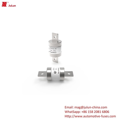 Adattatore di caricabatterie per veicoli elettrici compatibile con auto elettriche 500V DC 500A
