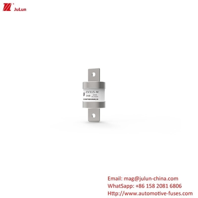 Adattatore di caricabatterie per veicoli elettrici compatibile con fusibile DC500V a tubo rotondo