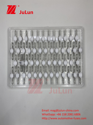 Automotive in ceramica ASTM A121601 Fuse Veicolo elettrico 300A 125VDC Ricarica Energia di stoccaggio