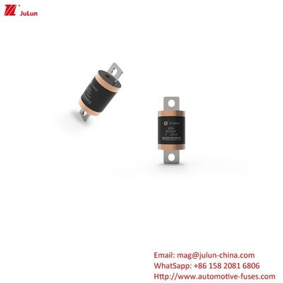 SINOFUSE Caricatore di batterie per autoveicoli Soluzione definitiva per i fusibili