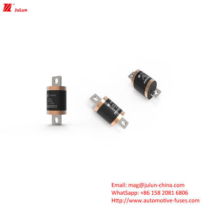Bolt Screw Home Ev Charger per auto elettrica / Ev Dc Fast Chargers Fuse Voltaggio nominale DC500V 20kA